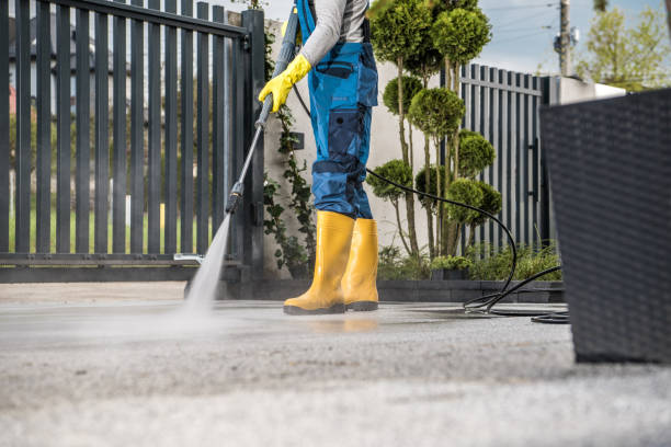 Best Affordable Pressure Washing  in Urania, LA